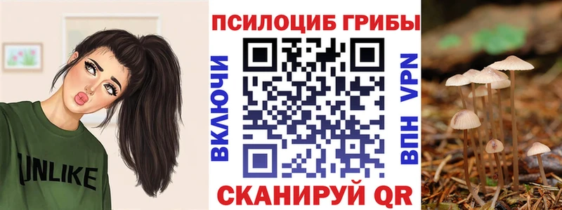 Псилоцибиновые грибы Cubensis  Безенчук 